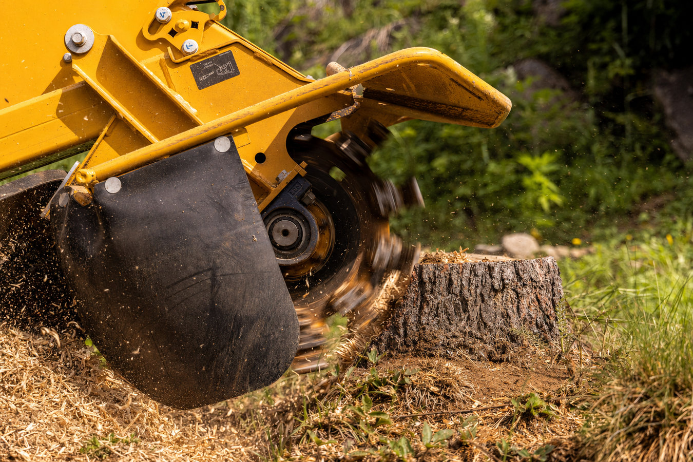 Stump Removal in Rohnert Park, CA